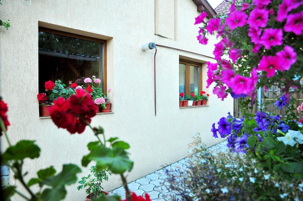 Casa Maria 호텔 구라후모룰루이 외부 사진